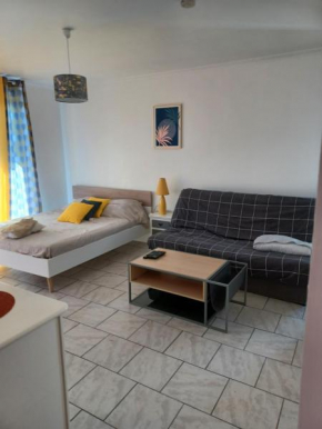 Joli T1 Perpignan sud
